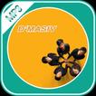 D'Masiv Mp3 Musik Offline