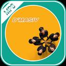 D'Masiv Mp3 Musik Offline APK