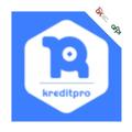 Kreditpro Pinjaman Tunai Guide