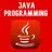 Learn Java Programming APK