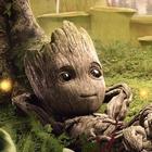 Groot Wallpapers 圖標