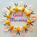 Good Morning for everyday APK