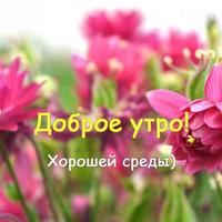 Доброе утро на каждый день скриншот 2