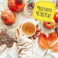 Доброе утро на каждый день скриншот 3