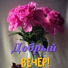 Красивые вечерние пожелания icon