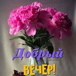 Красивые вечерние пожелания