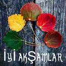 Iyi akşamlar selamlar APK