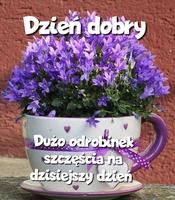 Dzień Dobry Pozdrowienia 截图 1