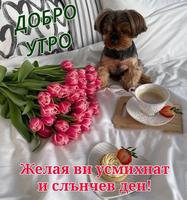 Картички за Добро Утро 截图 3