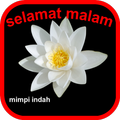 selamat malam