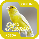 Masteran Burung Kenari Offline-APK