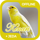Masteran Burung Kenari Offline icône