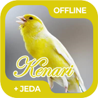 Masteran Burung Kenari Offline biểu tượng
