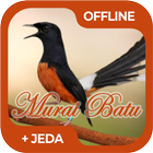 Masteran Murai Batu Medan ícone