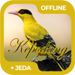 Masteran Burung Kepodang Offli