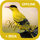 Masteran Burung Kepodang Offli APK