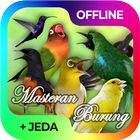 Masteran Burung Lengkap Offlin आइकन