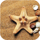 Beach and Nature Wallpapers