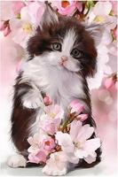 Котята-живые обои постер