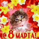 С 8 марта-откритки APK