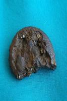 Sensational meteorites poster