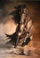 Horses_ اسکرین شاٹ 3