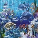 Meer Sfa APK