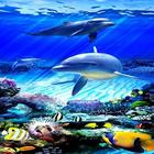 Sea World) Zeichen