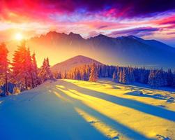 Photographs, effects, beauty plakat