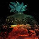 Dragon B SaiyanZ HD Wallpapers APK