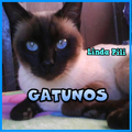Gatunos...