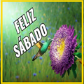 Feliz Sabado