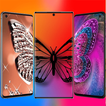 Butterfly Wallpaper HD