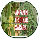 Amfanin Itaciyar Sabara a jikin dan Adam APK