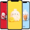 Cute Bunny Wallpapers