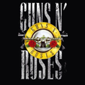 Guns N Roses Wallpaper HD