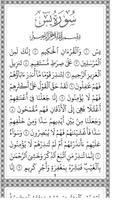 Yasin Tahlil & Istighosah screenshot 3