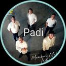 Lagu Padi Mp3 Offline APK