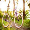 Summer Wallpapers 3