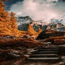 Autumn Wallpapers APK