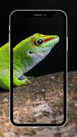 Green Wallpaper Cartaz
