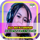 Lagu Kalia Siska DJ Kentrung Terlengkap icono