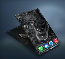 Cat Wallpapers পোস্টার