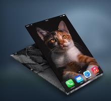 Cat Wallpapers স্ক্রিনশট 1