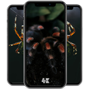 Spider Wallpapers APK