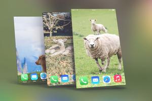 Sheep Wallpapers स्क्रीनशॉट 1