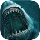 APK Shark Wallpapers