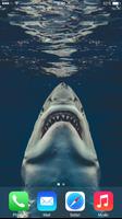 Shark Wallpapers اسکرین شاٹ 1