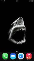 Shark Wallpapers اسکرین شاٹ 3