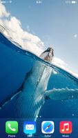 Ocean Wallpapers syot layar 2